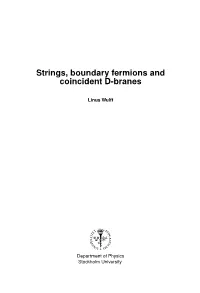 Strings, Boundary Fermions and Coincident D-Branes