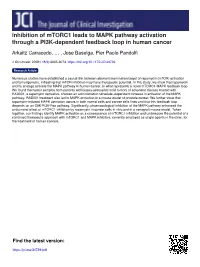 Inhibition of Mtorc1 Leads to MAPK Pathway Activation Through a PI3K-Dependent Feedback Loop in Human Cancer