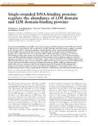 Single-Stranded DNA-Binding Proteins Regulate the Abundance of LIM Domain and LIM Domain-Binding Proteins