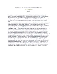 4B. the Heart (Cor) 1