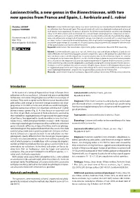 Ascomyceteorg 08-02 Ascomyceteorg
