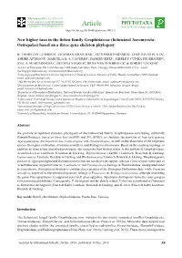 Lumbsch Et Al