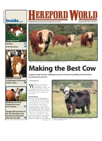 Making the Best Cow Longtime Angus Family Is Utilizing the Power of Heterosis by Adding Hereford Bulls to Its Commercial Cow Herd