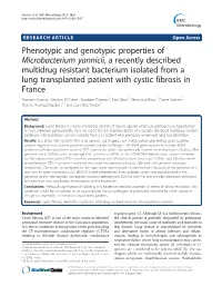 Phenotypic and Genotypic Properties of Microbacterium Yannicii, A