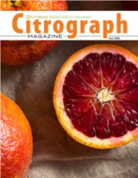 | Citrograph Magazine 1
