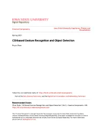 CSI-Based Gesture Recognition and Object Detection