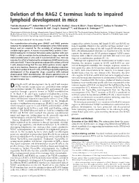 Deletion of the RAG2 C Terminus Leads to Impaired Lymphoid Development in Mice