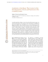 Gradients in the Brain: the Control of the Development of Form and Function in the Cerebral Cortex