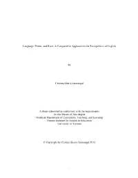 Language, Power, and Race: a Comparative Approach to the Sociopolitics of English