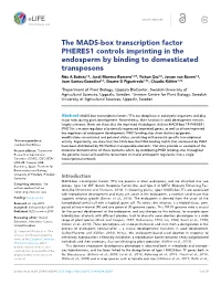 The MADS-Box Transcription Factor PHERES1 Controls