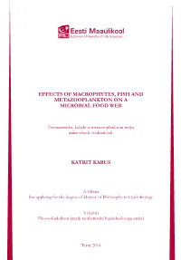 Effects of Macrophytes, Fish and Metazooplankton on a Microbial Food Web
