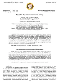 Notes on Mycenastrum Corium in Turkey