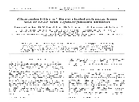 Characteristics of Three Rhabdoviruses from Snakehead Fish Ophicephalus Striatus