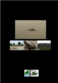 Final Report of Preliminary Study of Painted Terrapin In