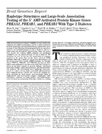 Brief Genetics Report Haplotype Structures and Large