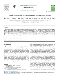 Dental Development and Microstructure of Bamboo Rat Incisors