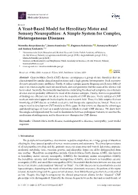 A Yeast-Based Model for Hereditary Motor and Sensory Neuropathies: a Simple System for Complex, Heterogeneous Diseases
