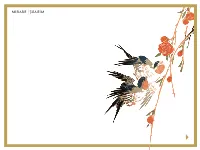 Booklet Mir302.Pdf