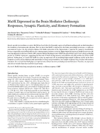 Musk Expressed in the Brain Mediates Cholinergic Responses, Synaptic Plasticity, and Memory Formation