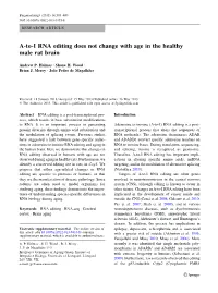 A-To-I RNA Editing Does Not Change with Age in the Healthy Male Rat Brain