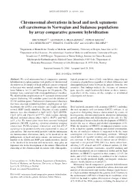 Chromosomal Aberrations in Head and Neck Squamous Cell Carcinomas in Norwegian and Sudanese Populations by Array Comparative Genomic Hybridization