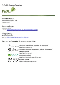 Common Name Image Library Partners for Australian Biosecurity