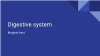 Digestive System