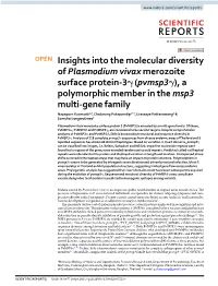 Insights Into the Molecular Diversity of Plasmodium Vivax Merozoite Surface Protein-3Γ
