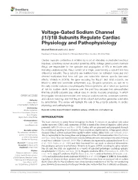 Voltage-Gated Sodium Channel Β1/Β1b Subunits Regulate Cardiac Physiology and Pathophysiology
