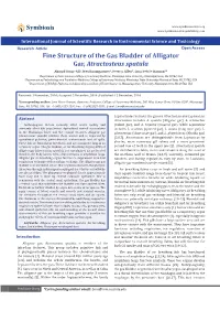 Fine Structure of the Gas Bladder of Alligator Gar, Atractosteus Spatula Ahmad Omar-Ali1, Wes Baumgartner2, Peter J
