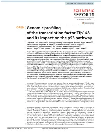 Genomic Profiling of the Transcription Factor Zfp148 and Its Impact on The