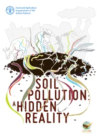 Soil Pollution: a Hidden Reality