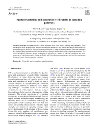 Spatial Regulation and Generation of Diversity in Signaling Pathways