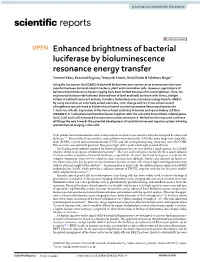 Enhanced Brightness of Bacterial Luciferase by Bioluminescence Resonance Energy Transfer