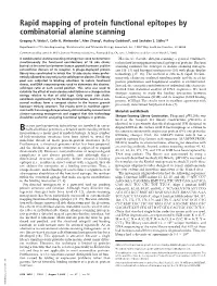 Rapid Mapping of Protein Functional Epitopes by Combinatorial Alanine Scanning