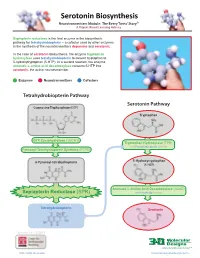 Serotonin Biosynthesis Neurotransmitters Module: the Beery Twins’ Story© a Project-Based Learning Activity