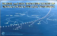 Sharks and Rays That Interact with Tuna Fisheries in the Indian Ocean
