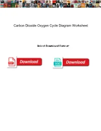 Carbon Dioxide Oxygen Cycle Diagram Worksheet