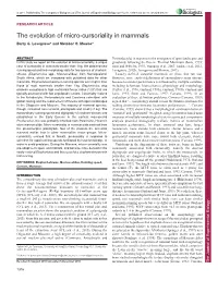 The Evolution of Micro-Cursoriality in Mammals