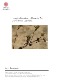 Mosquito Repellency of Essential Oils Derived from Lao Plants Karin Andersson
