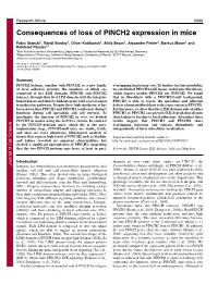 Consequences of Loss of PINCH2 Expression in Mice