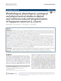Fagopyrum Tataricum (L.) Gaertn Lin‑Jiao Wang1,3, Mao‑Yin Sheng1,2,3*, Pei‑Cai Wen1,4 and Jia‑Ying Du3,4