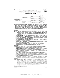 149 Chestnut Colt
