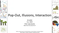 Pop-Out, Illusions, Interaction