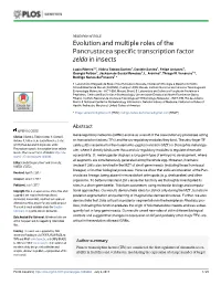 Evolution and Multiple Roles of the Pancrustacea Specific Transcription Factor Zelda in Insects