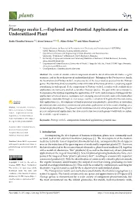 Plantago Media L.—Explored and Potential Applications of an Underutilized Plant