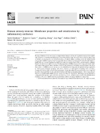 Human Sensory Neurons: Membrane Properties and Sensitization by Inflammatory Mediators