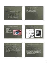 Taking the Mystery out of Abnormal Pupils