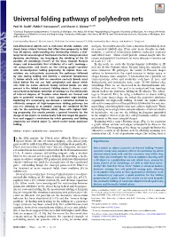 Universal Folding Pathways of Polyhedron Nets
