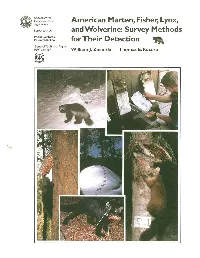 American Marten, Fisher, Lynx, and Wolverine: Survey Methods for Their Detection Agriculture